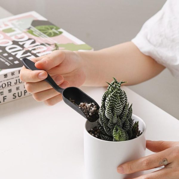 Vaporisateur pour plantes, idéal pour arroser et nourrir