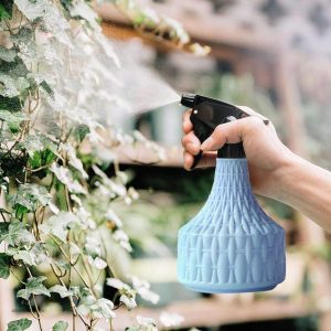 Vaporisateur d'eau pour plantes, lot de 2 unités