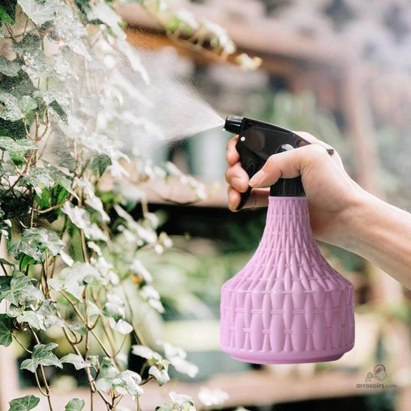 Accessoire de jardinage, vaporisateur d'eau pour soins des plantes