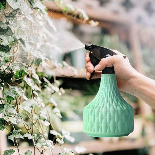 Vaporisateur pratique, idéal pour arroser les plantes d'intérieur