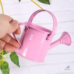 Mini arrosoir métal, lot de 2, pour arroser les plantes