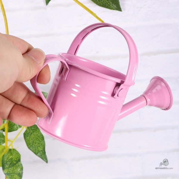 Mini arrosoir métal, lot de 2, pour arroser les plantes