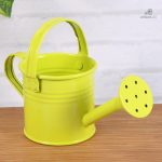 Mini arrosoir en métal, outil essentiel pour les jardiniers