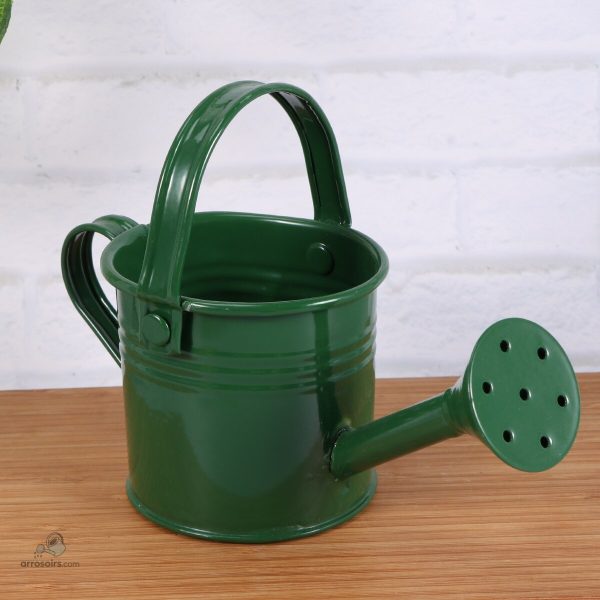 Set d'arrosoirs compacts, idéal pour les pots de fleurs