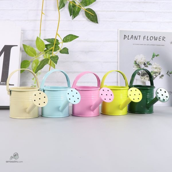 Set d'arrosoirs métalliques pour jardinage intérieur