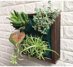 Mur végétal hydroponique pour un jardin intérieur moderne