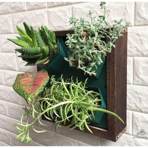 Mur végétal hydroponique pour un jardin intérieur moderne
