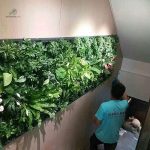 Écologique, ce mur végétal maximise l'espace vert