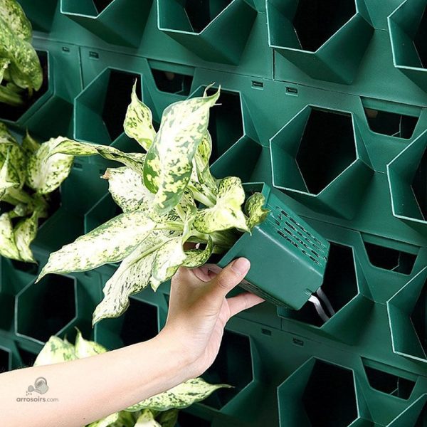 Mur de plantes avec système d'irrigation automatique