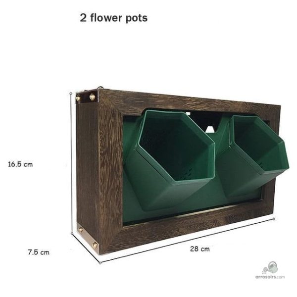 Plantes suspendues avec arrosage automatique
