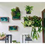 Mur végétal moderne pour décoration intérieure