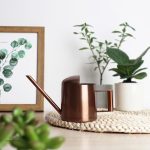 Petit arrosoir d'intérieur pour soins des plantes