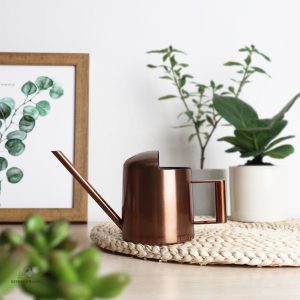 Petit arrosoir d'intérieur pour soins des plantes