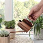 Arrosoir compact pour un arrosage facile à domicile