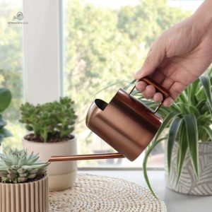 Arrosoir compact pour un arrosage facile à domicile