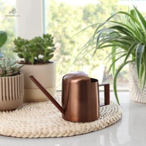 Design élégant d'arrosoir pour décoration intérieure