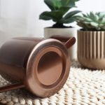Arrosoir pratique pour plantes d'intérieur délicates