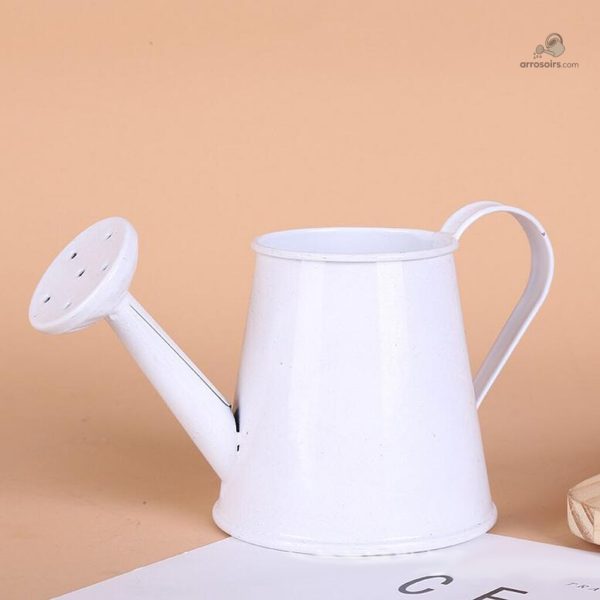 Mini arrosoir pour embellir votre décoration intérieure