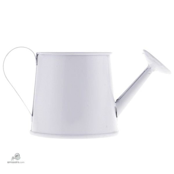 Accessoire de jardinage décoratif pour la maison