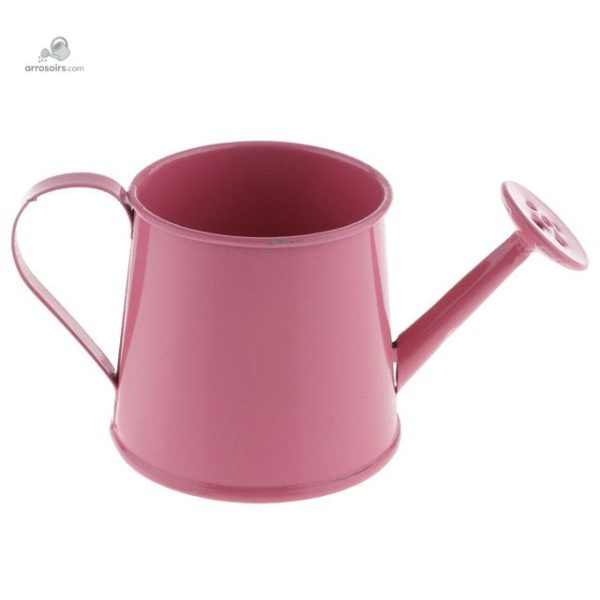 Élément décoratif en arrosoir pour un style unique