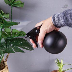 Vaporisateur pour plantes, idéal pour l'hydratation quotidienne