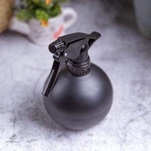 Accessoire de jardinage : vaporisateur pour arroser les plantes
