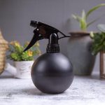 Vaporisateur pour l'entretien des plantes en pots et jardin