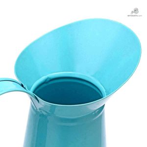 Accessoire de jardin : Pichet Arrosoir stylé