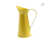 Pichet Arrosoir, pièce décorative pour intérieur