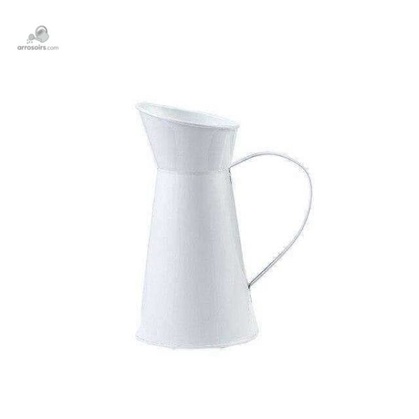 Broc décoratif, accessoire utile pour les plantes