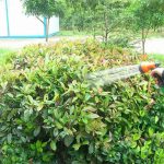 Accessoire de jardinage : pistolet d'arrosage ergonomique