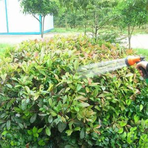 Accessoire de jardinage : pistolet d'arrosage ergonomique