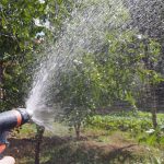 Accessoire d'arrosage adaptable pour plantes