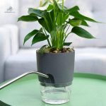 Pot à réserve d'eau pour arrosage automatique