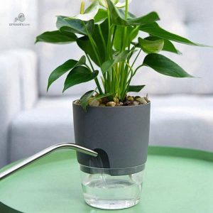 Pot à réserve d'eau pour arrosage automatique