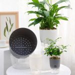 Pot à réserve d'eau pour un arrosage régulier