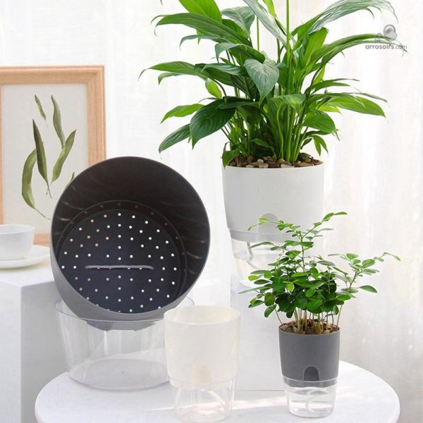 Pot à réserve d'eau pour un arrosage régulier