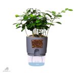 Equipement de jardinage pour un arrosage efficace