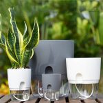 Arroseur automatique pour un jardinage simplifié