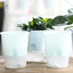Système d'arrosage automatique pour pots de fleurs