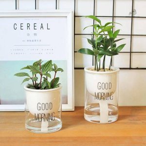 Pot d'arrosage automatique pour un entretien facile des plantes