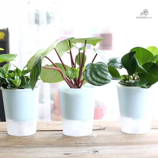 Pot autonome pour hydratation des plantes