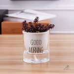 Système d'arrosage automatique pour pots de fleurs
