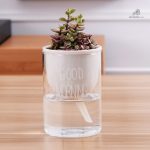 Arrosoir automatique, solution pratique pour vos plantes