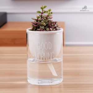 Arrosoir automatique, solution pratique pour vos plantes