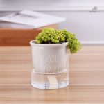 Pot de fleurs avec arrosage intégré pour un soin simplifié