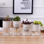 Pot d'arrosage autonome, parfait pour les plantes d'intérieur