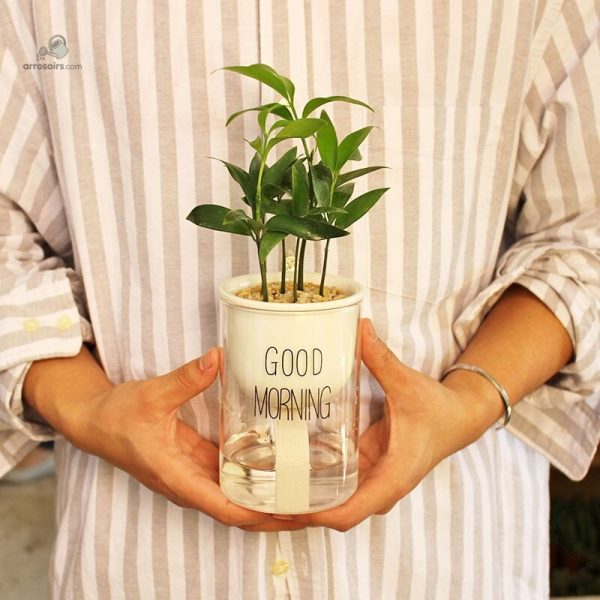 Dispositif d'arrosage automatique pour un jardinage sans effort