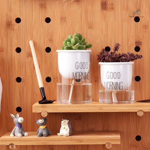 Système d'arrosage pour plantes, design moderne et efficace