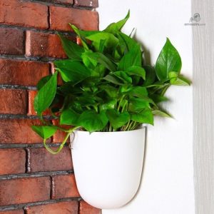 Pot d'arrosage automatique pour jardin intérieur